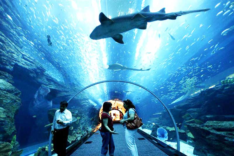 Thế giới nước Langkawi (Underwater Wolrd Langkawi)